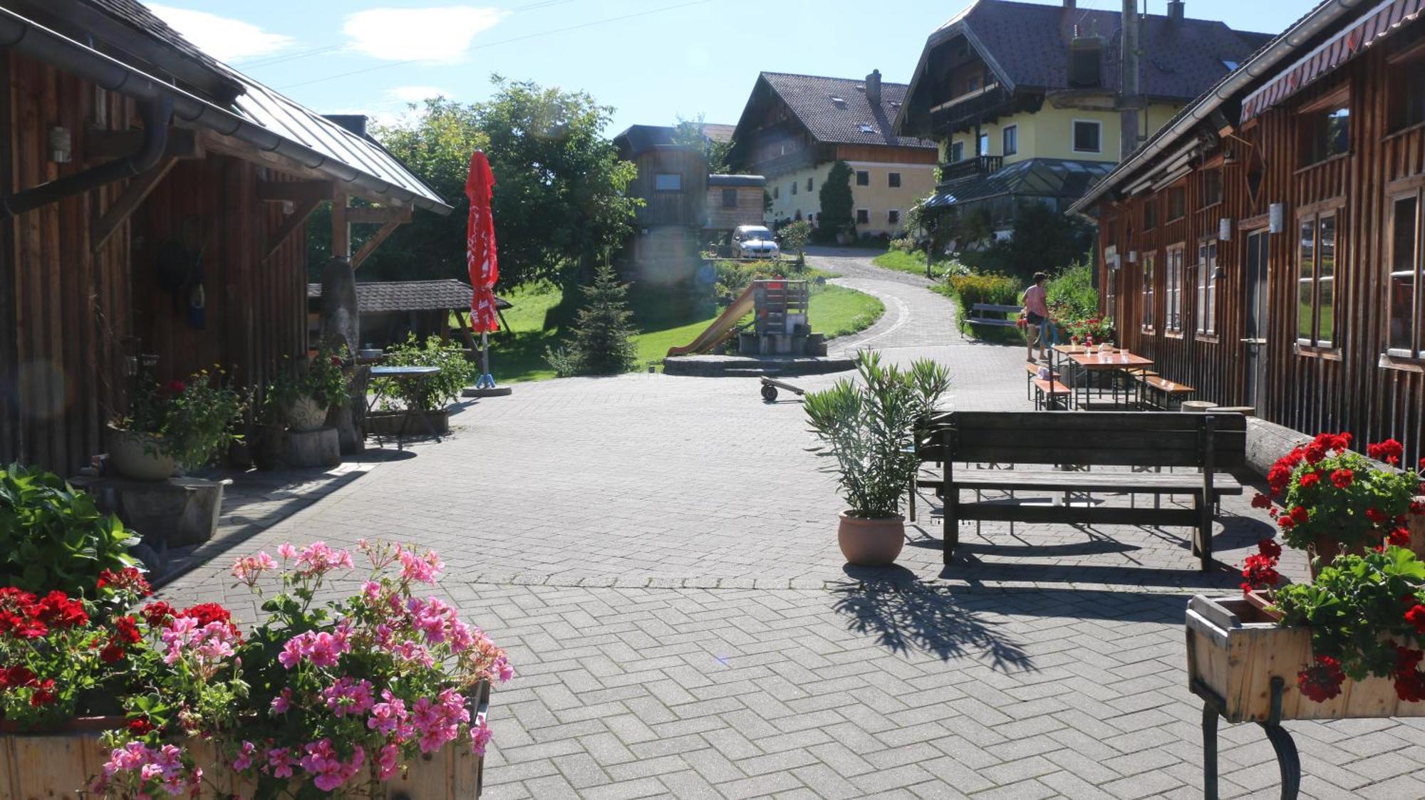 Bio Archehof Zachhiesen - Stay & Relax Seekirchen am Wallersee Ngoại thất bức ảnh